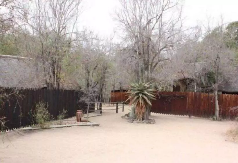 هتل Off Beat Safaris Bush Lodge