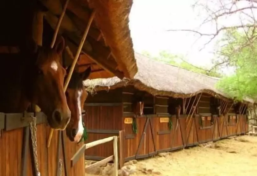هتل Off Beat Safaris Bush Lodge