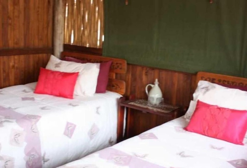 בית מלון כפרי Off Beat Safaris Bush Lodge