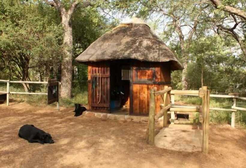 Отель Off Beat Safaris Bush Lodge