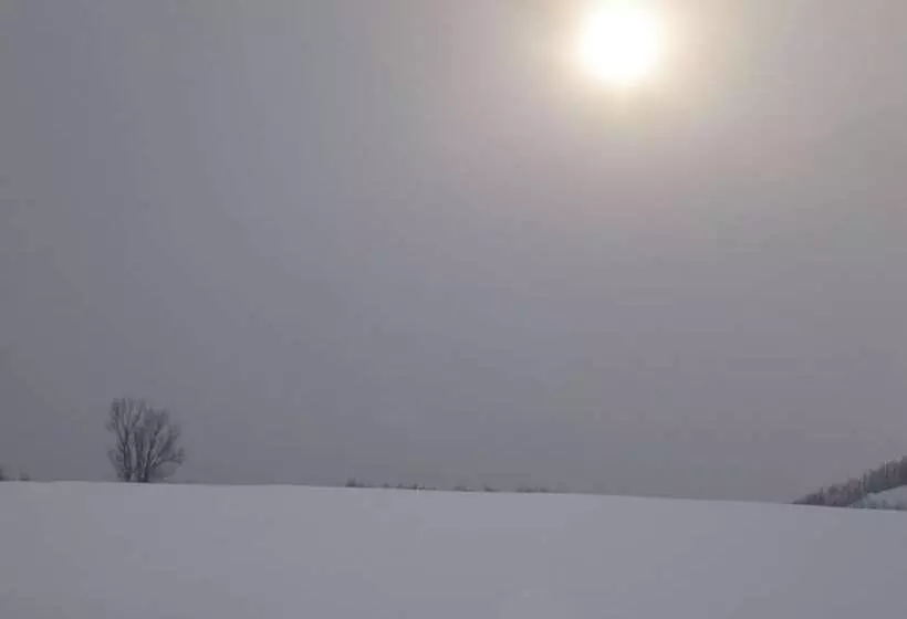 膳宿费 Akane Yado