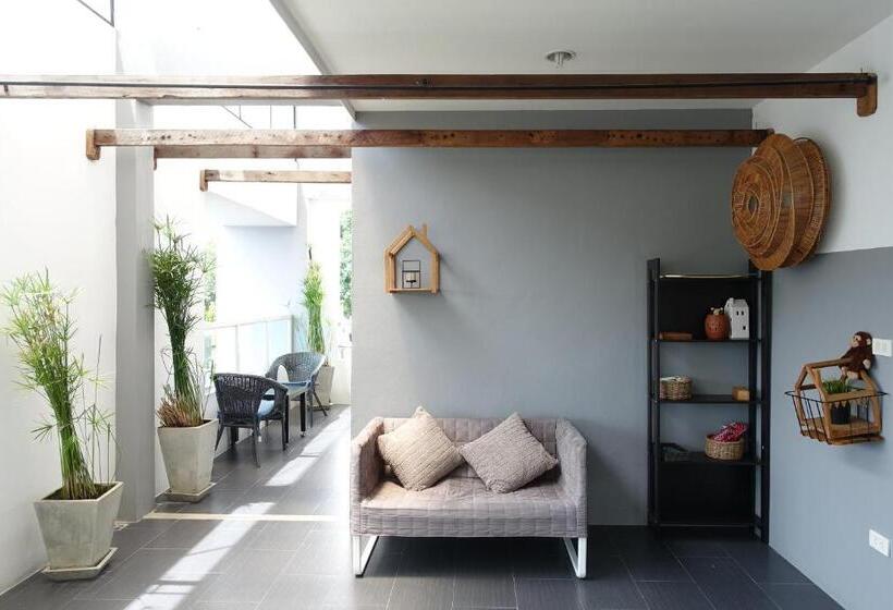 פנסיון White Monkey Guesthouse