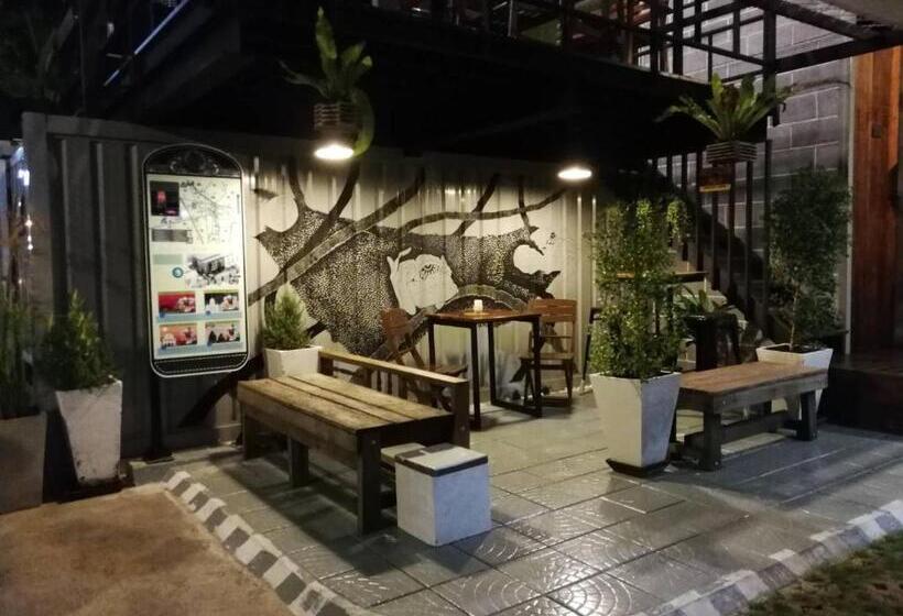 פנסיון White Monkey Guesthouse