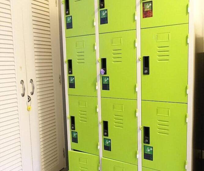 פנסיון White Monkey Guesthouse