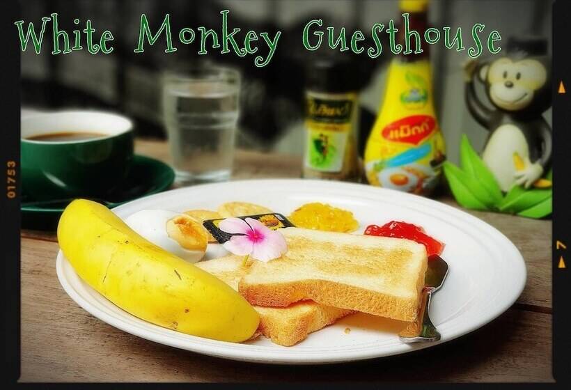 פנסיון White Monkey Guesthouse
