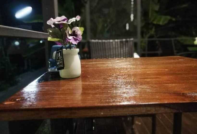 פנסיון White Monkey Guesthouse