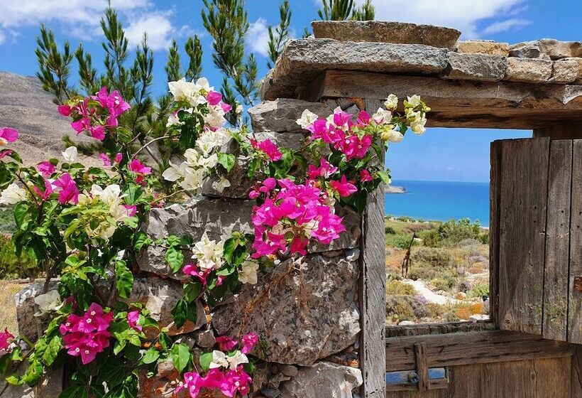 Terra Minoika Boutique Resort