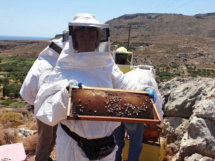 Terra Minoika Boutique Resort