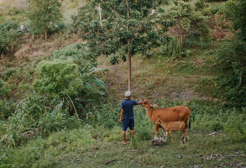 Pensiune Jun Cottage