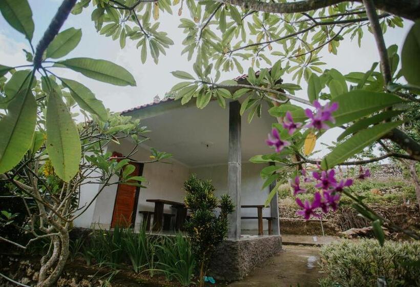 Pensiune Jun Cottage