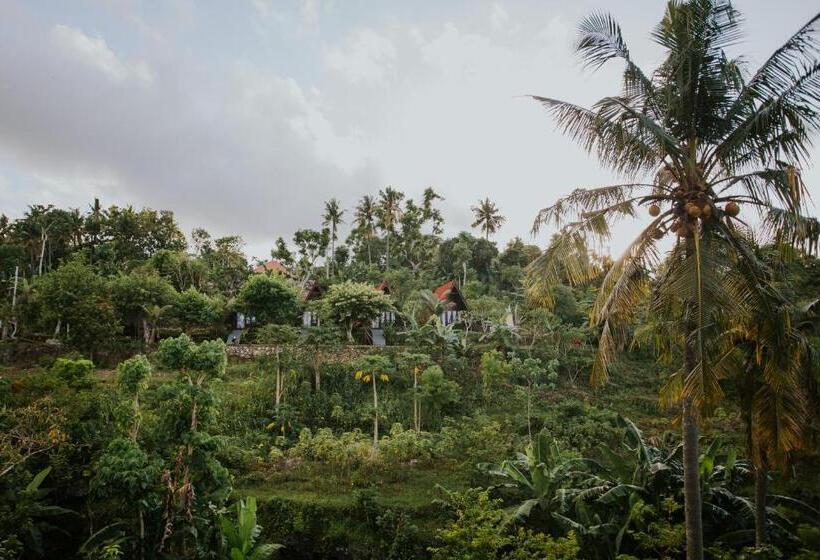 Pensiune Jun Cottage