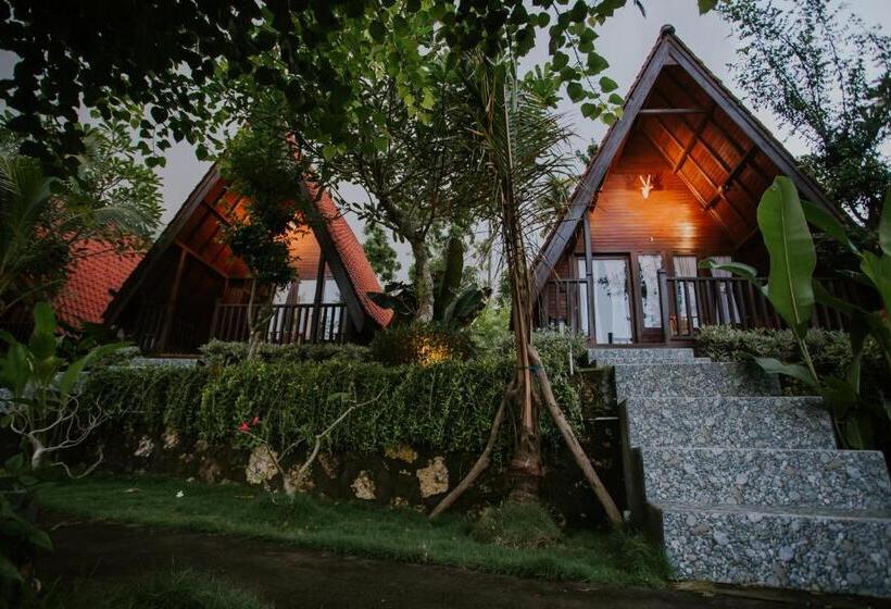 Pensiune Jun Cottage