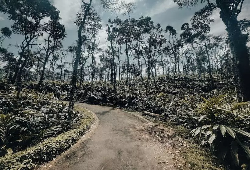 Lomakeskus Mystic Mayapott Thekkady