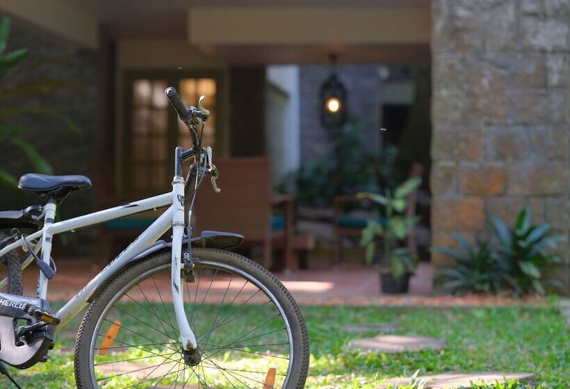 אתר נופש Mystic Mayapott Thekkady