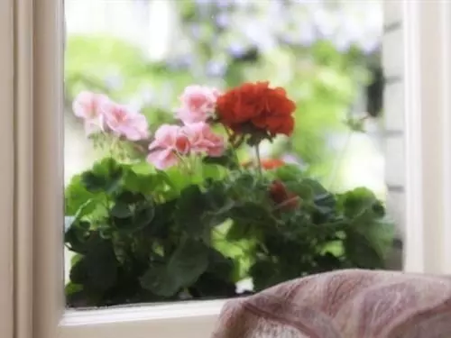 Bed and Breakfast Belmont