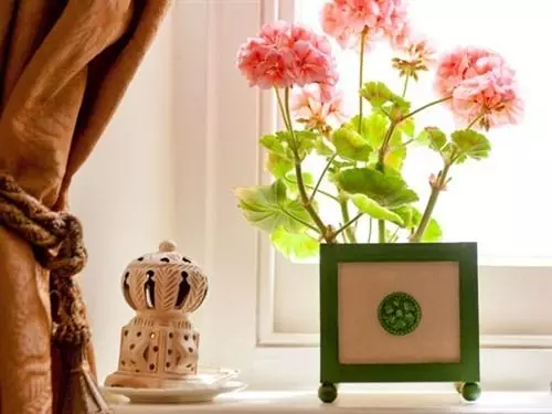 Bed and Breakfast Belmont