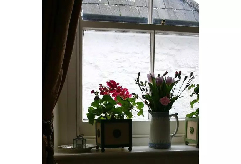 Bed and Breakfast Belmont