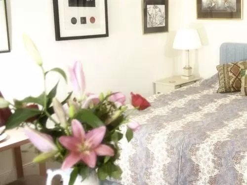 Bed and Breakfast Belmont