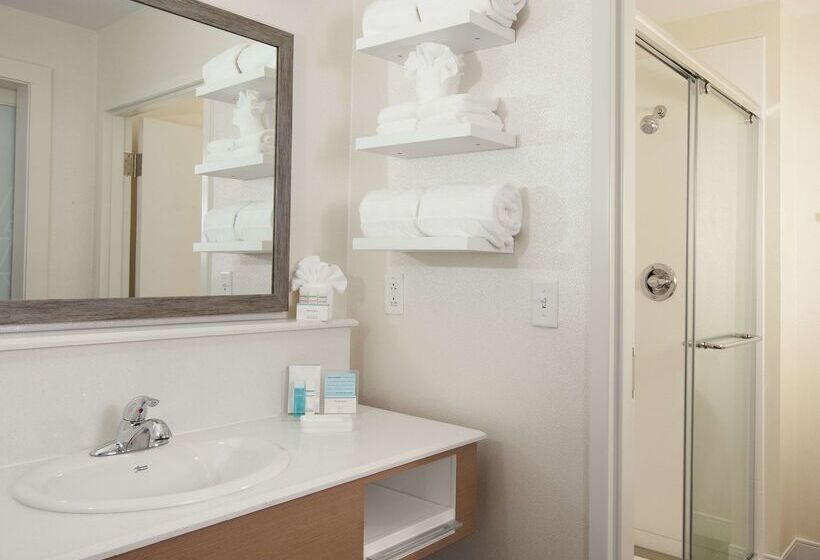 فندق Hampton Inn & Suites By Hilton Augustawashington Rd