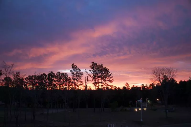 Hotelli Holiday Inn Club Vacations Villages Resort At Lake Palestine