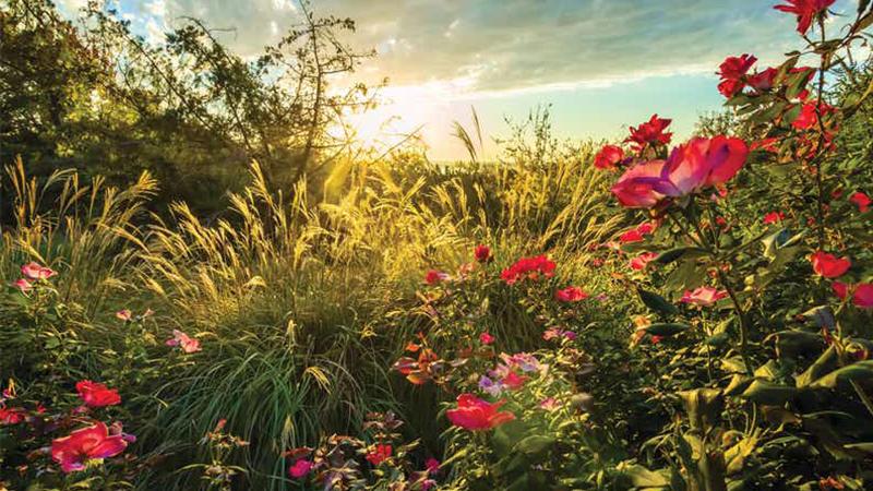 فندق Holiday Inn Club Vacations Villages Resort At Lake Palestine