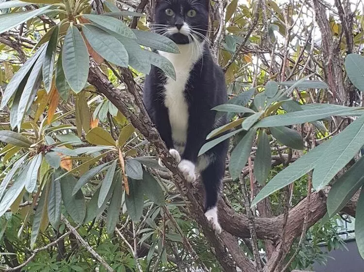 モーテル Aurora On George