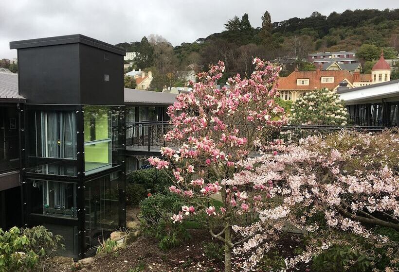 汽车旅馆  Aurora On George