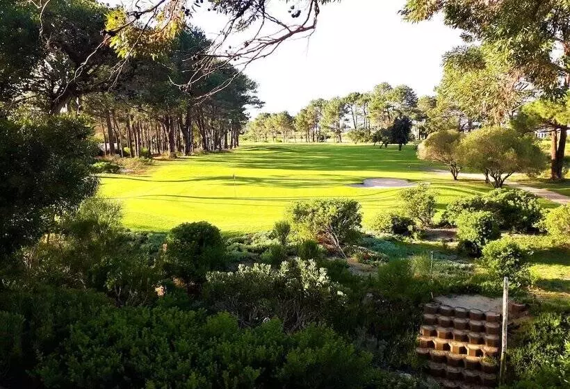 Majatalo Hermanus Lodge On The Green   Solar Power