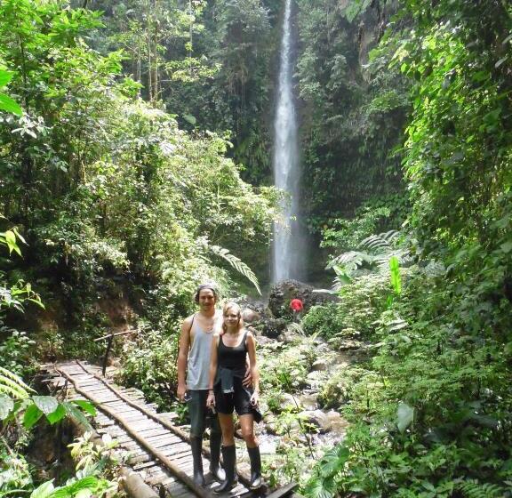 客栈  La Casa Amarilla