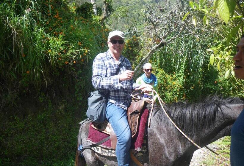 客栈  La Casa Amarilla