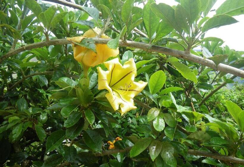 客栈  La Casa Amarilla