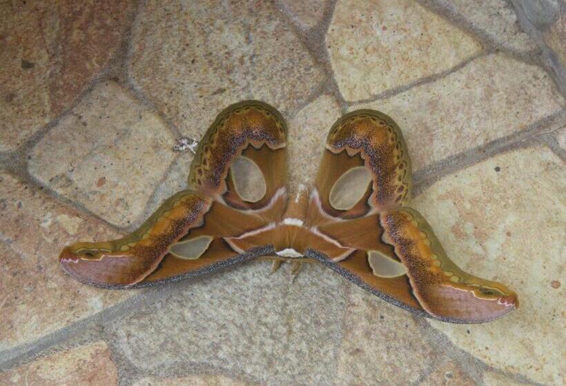 客栈  La Casa Amarilla