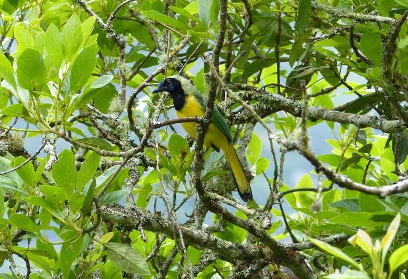 客栈  La Casa Amarilla