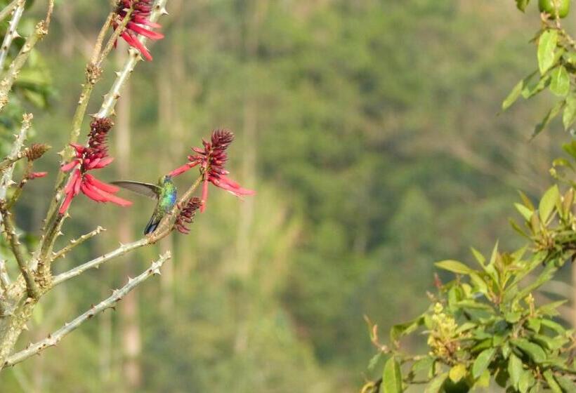 客栈  La Casa Amarilla