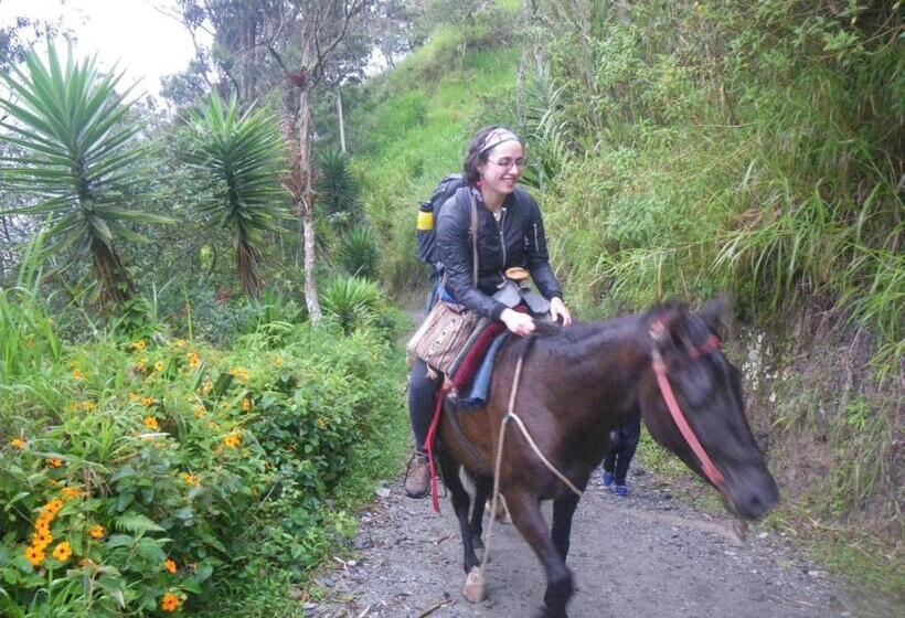 客栈  La Casa Amarilla