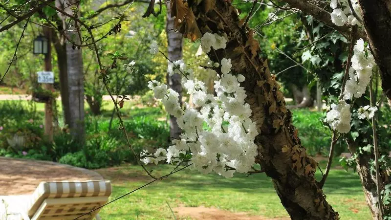 Hotelli Berluda Farmhouse And Cottages