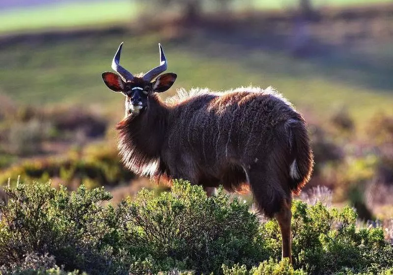 Hotelli Berluda Farmhouse And Cottages