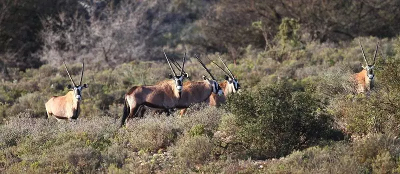 Hotelli Berluda Farmhouse And Cottages