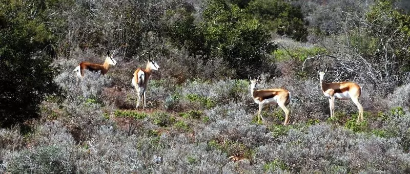 Hotelli Berluda Farmhouse And Cottages