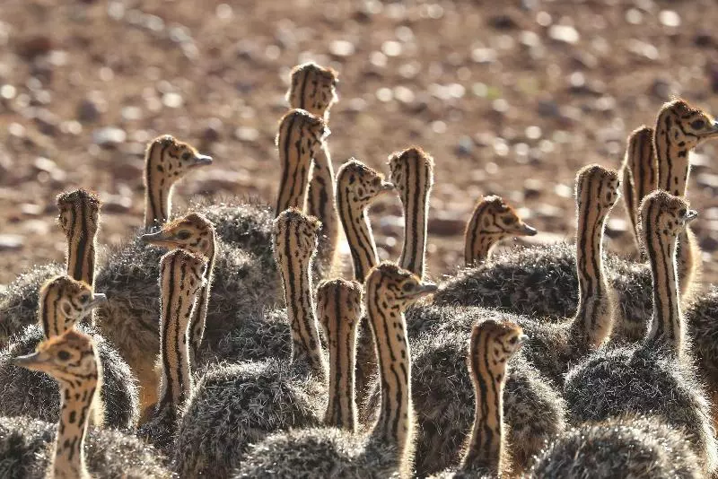 Hotelli Berluda Farmhouse And Cottages