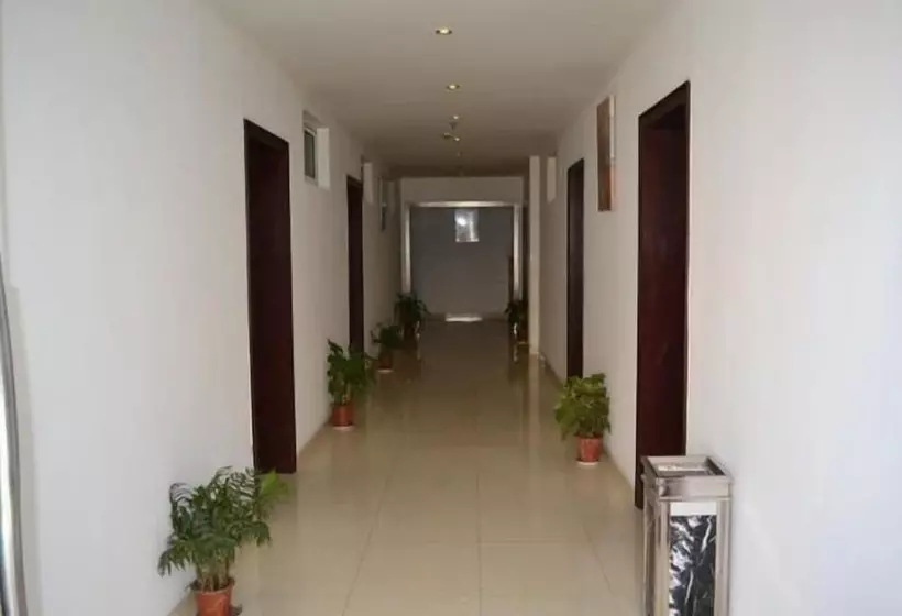 هتل Greentree Inn Shanghai Chongming Bao Town Express