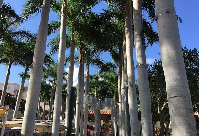 Lyx Suites At Merrick Park In Coral Gables