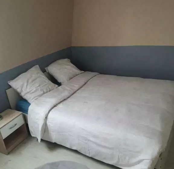 ベッドアンドブレックファースト Chambre D Hote Avec D Autre Voyageur