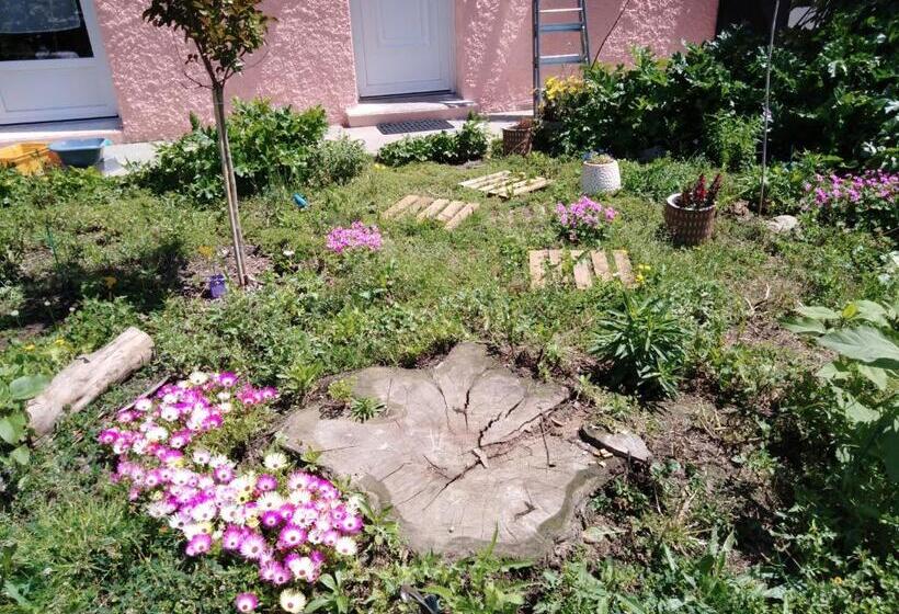 Bed and Breakfast Les Toiles Du Figuier