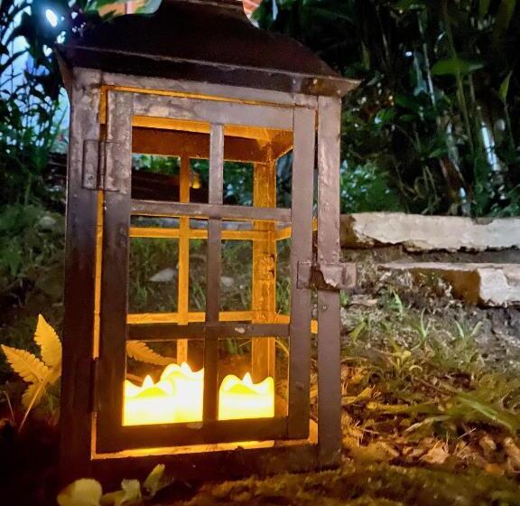 호텔 Pousada Bosque Toque Toque