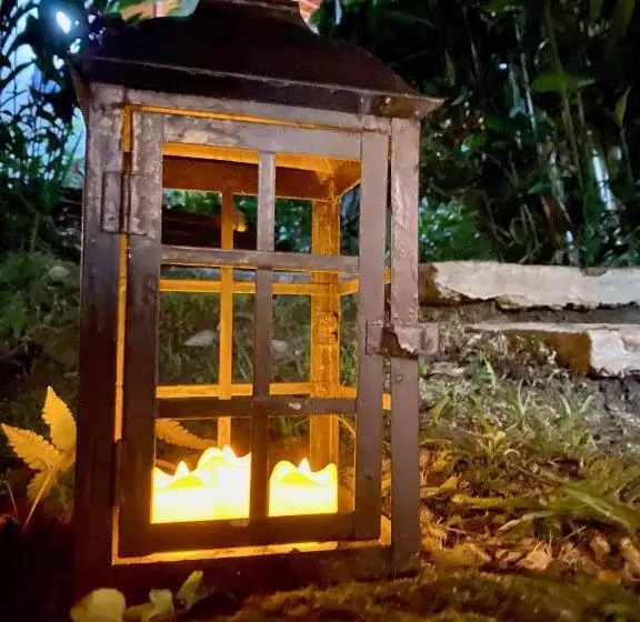 Hotelli Pousada Bosque Toque Toque