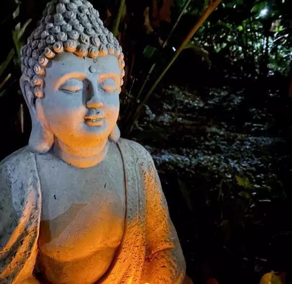 Hotelli Pousada Bosque Toque Toque