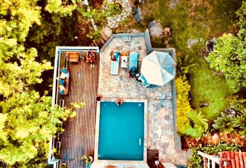 호텔 Pousada Bosque Toque Toque