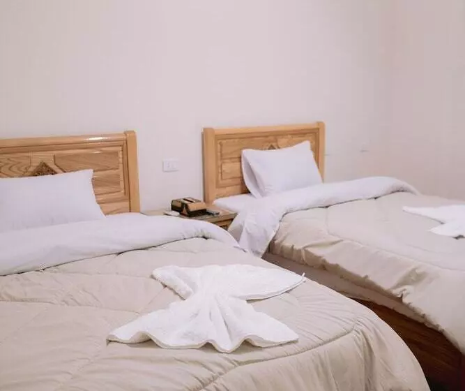 هتل Central Cairo