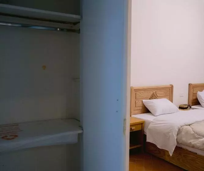 هتل Central Cairo